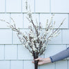 White Berry Branch- 43" Greenery