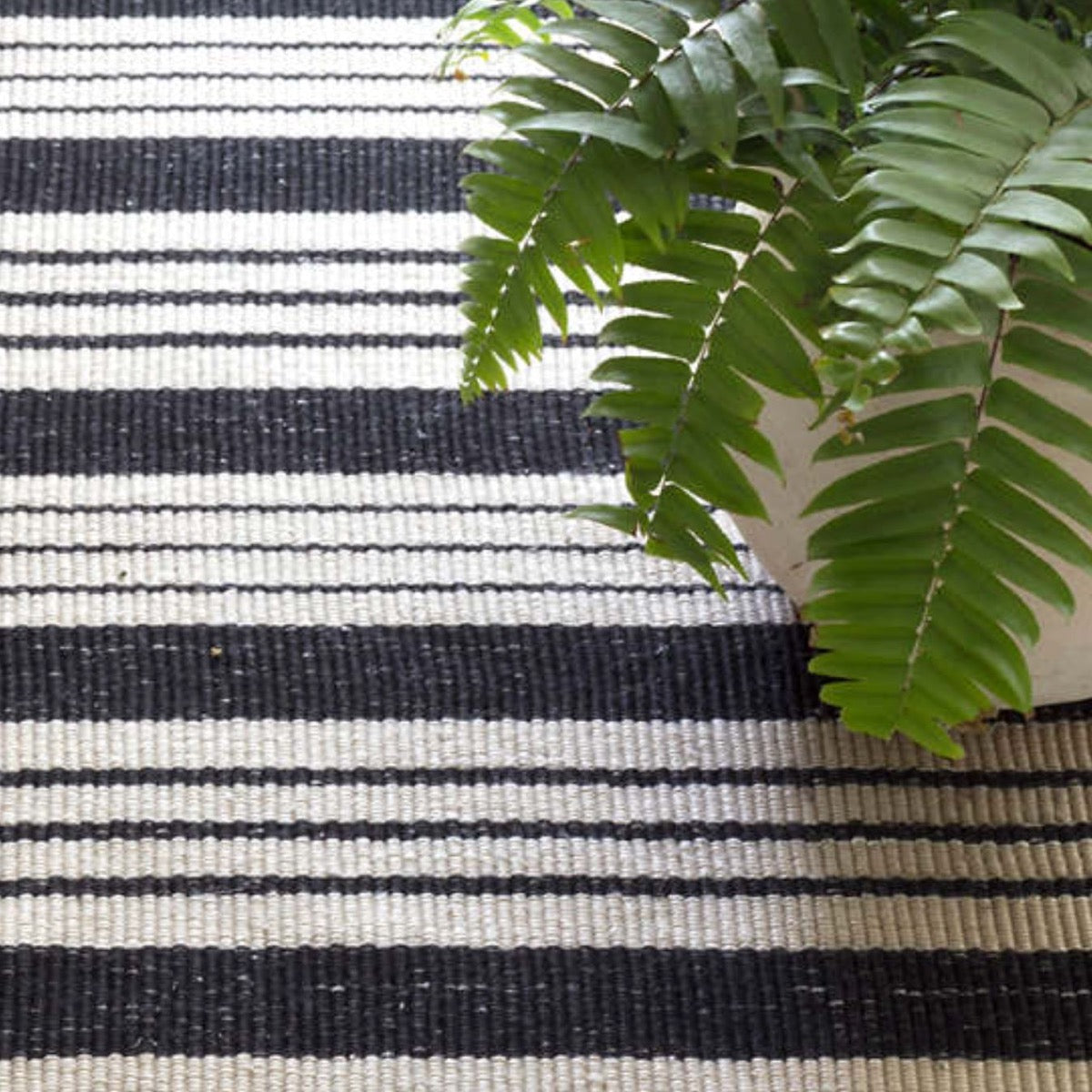 Birmingham Black Indoor/Outdoor Rug styled under a plant. Styled view.