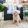 Bowline Natural Indoor/Outdoor Round Rug styled in a sunroom with a whicker chair and dog. Styled view.