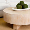 Camden Coffee Table styled with a white sofa and green moss decor. Styled view.