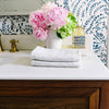 Compagnie de Provence Soap - Mediterranean Sea Bath & Body