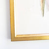 Crowned Parakeet gold frame. Close-up detail view.