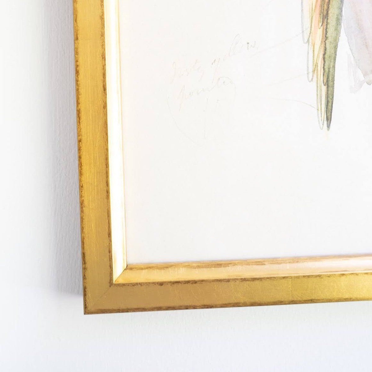 Crowned Parakeet gold frame. Close-up detail view.