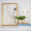 Demoiselle Crane styled on a shelf with books and decor. Styled view.