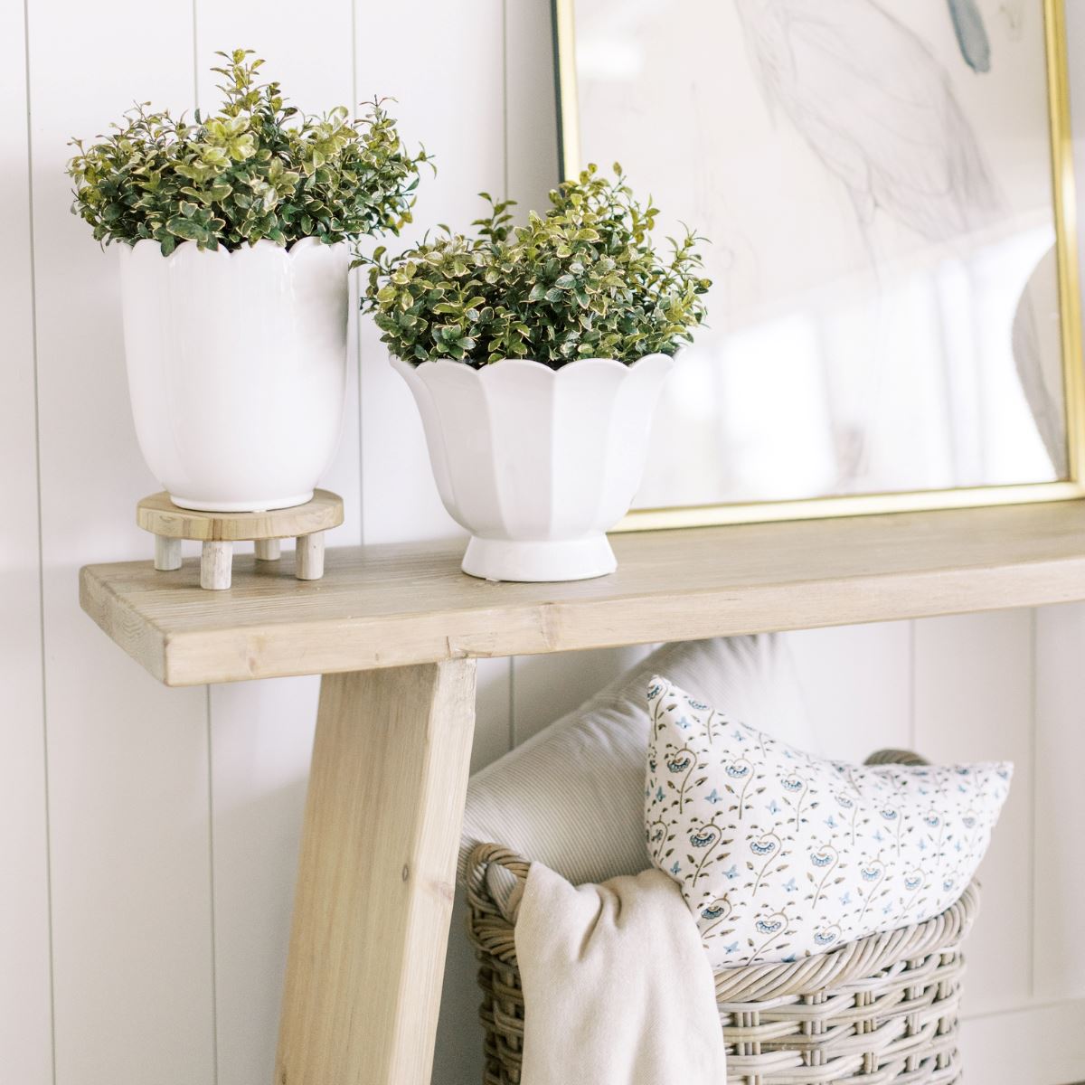Golden Euonymus Pick Greenery