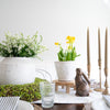 Hand-Dipped Danish Tapers - Olive styled with greenery and spring dining set. Styled view.