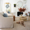 Owen Chair Arm Chairs, Recliners & Sleeper Chairs
