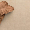 Pebble Natural Indoor/Outdoor Rug styled with brown leaves. Styled view.