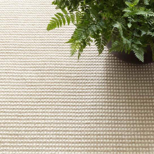 Pixel Wheat Woven Sisal/Wool Rug styled under a plant. Styled view.