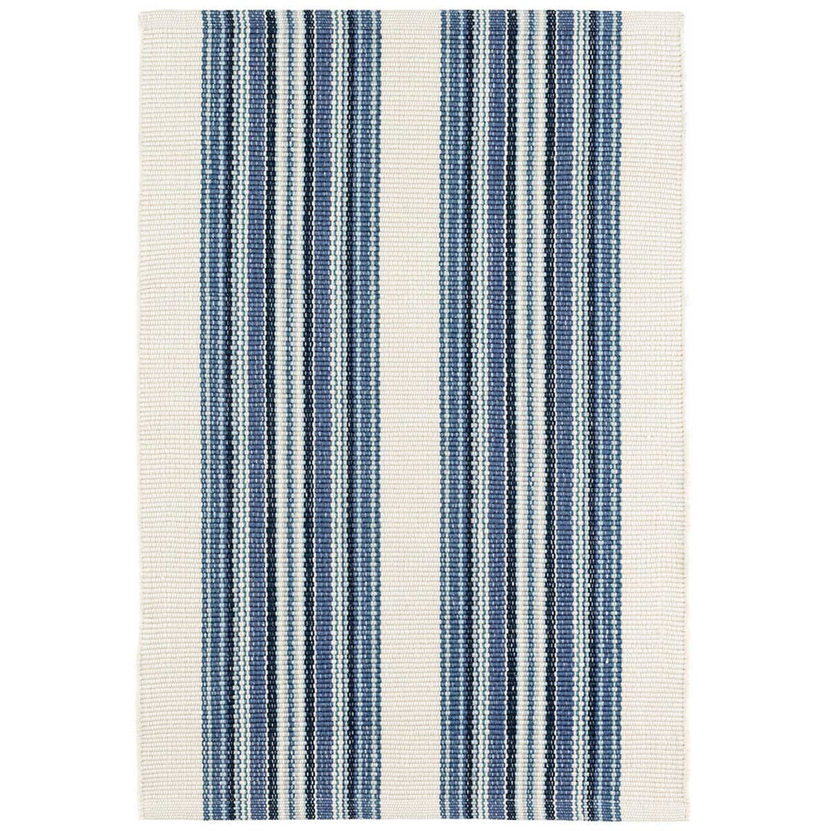 Road Runner Blue Indoor/Outdoor Rug Rugs