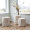 Rosalie Round Stump styled with greenery in front of large windows. Styled view.