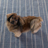 Samson Navy Indoor/Outdoor Rug with a dog. Styled view.
