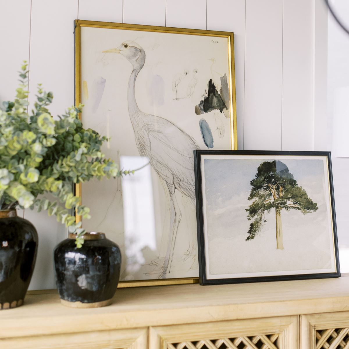 Scottish Fir Tree Framed Art