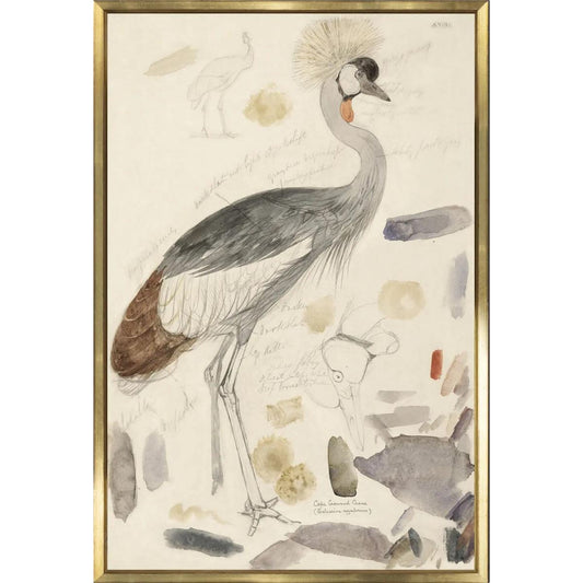 South African Crowned Crane Framed Art