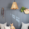 Summer Outdoor Pendant - Small styled in a blue panelled mud room. Styled view.