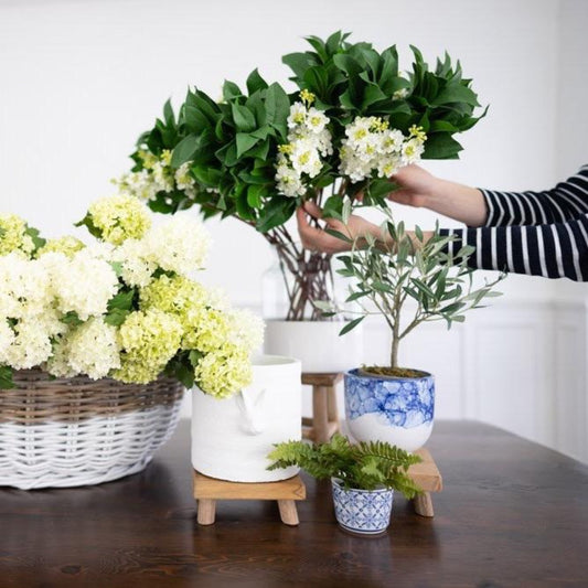 Teak Stands styled with greenery and pots. Styled view.