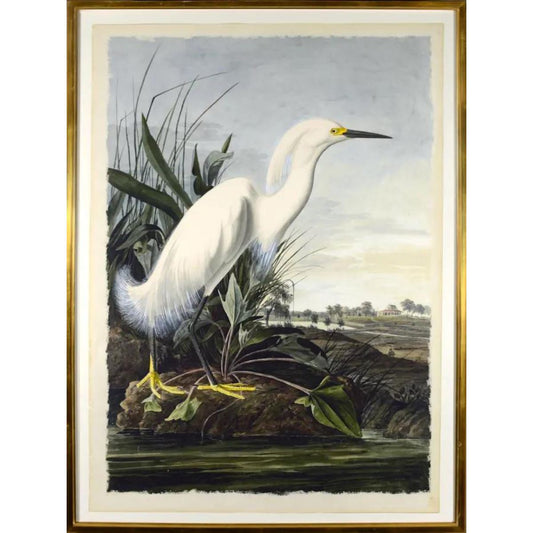 White Egret Framed Art
