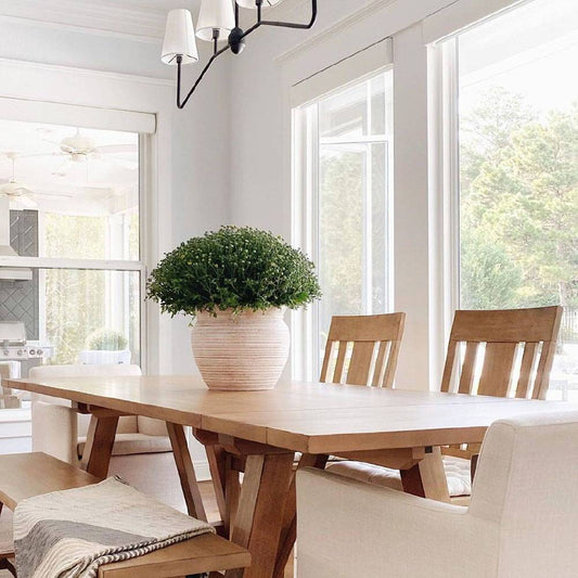 A Fuss-Free Thanksgiving: Celebrating the Fall Holiday, Simplified