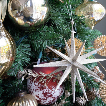 18 Point Star Ornament - 8" Objects & Accents 