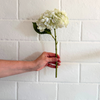 Green/Cream Hydrangea Stem 12"