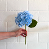 Blue Hydrangea Stem 12"