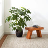 Loggia Natural Handwoven Wool Rug