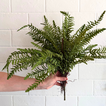 Fern Bush 18"