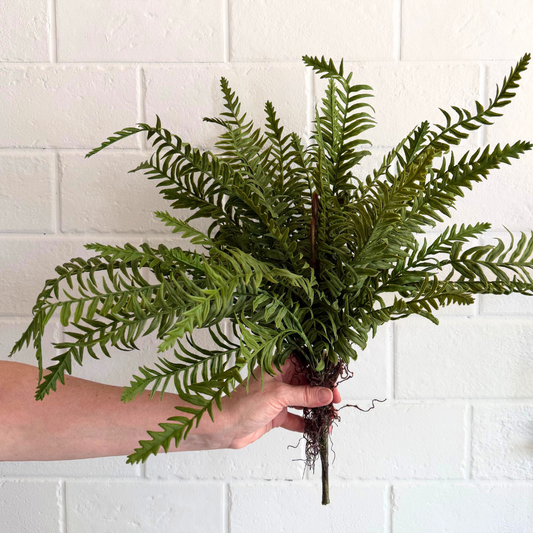 Fern Bush 18"