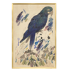 *Local Pick-Up* Blue Parrot - Large