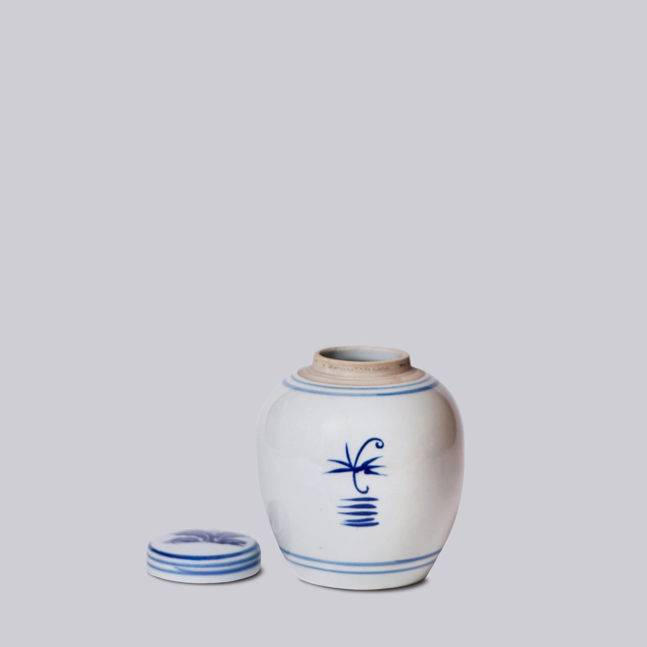 Abundant Peony Ginger Jar Vases, Planters & Jars 