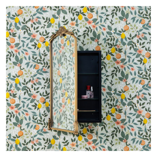 Adeline Medicine Cabinet Mirrors 