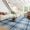 Andri Modern Plaid Machine Washable Rug - Blue Rugs 