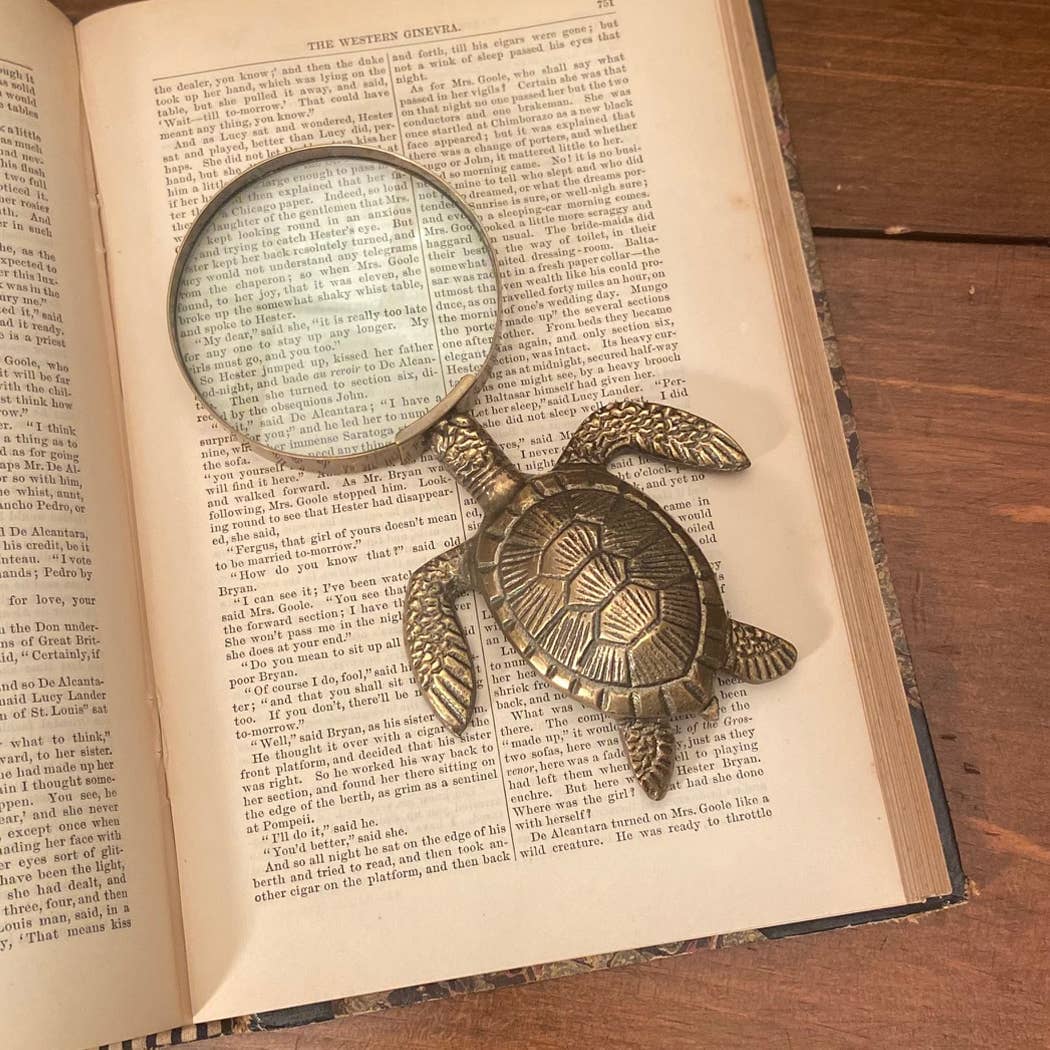 Antiqued Brass Turtle Magnifying Glass, 7” Home Accents 