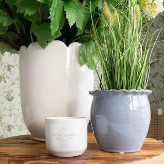 Ariel Pots Vases, Planters & Jars 