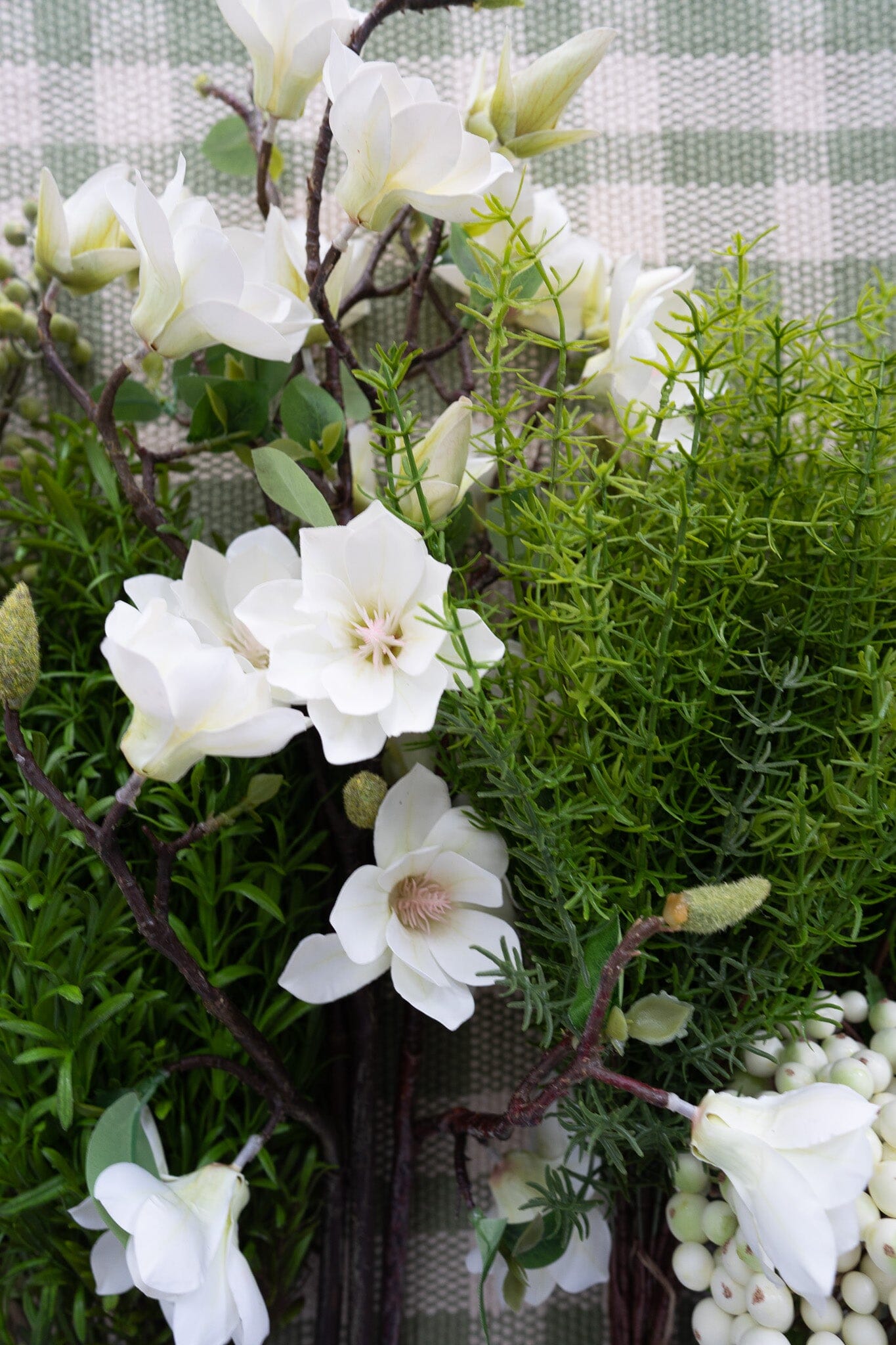 Asparagus Fern Bush Greenery 