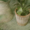 Atlas Pot- Rosa Vases, Planters & Jars 