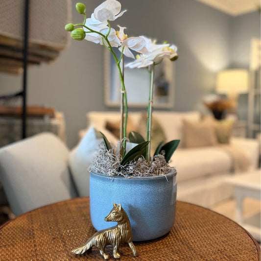 Aylin Pots Decorative Accessories 