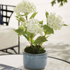 Aylin Pots Decorative Accessories 