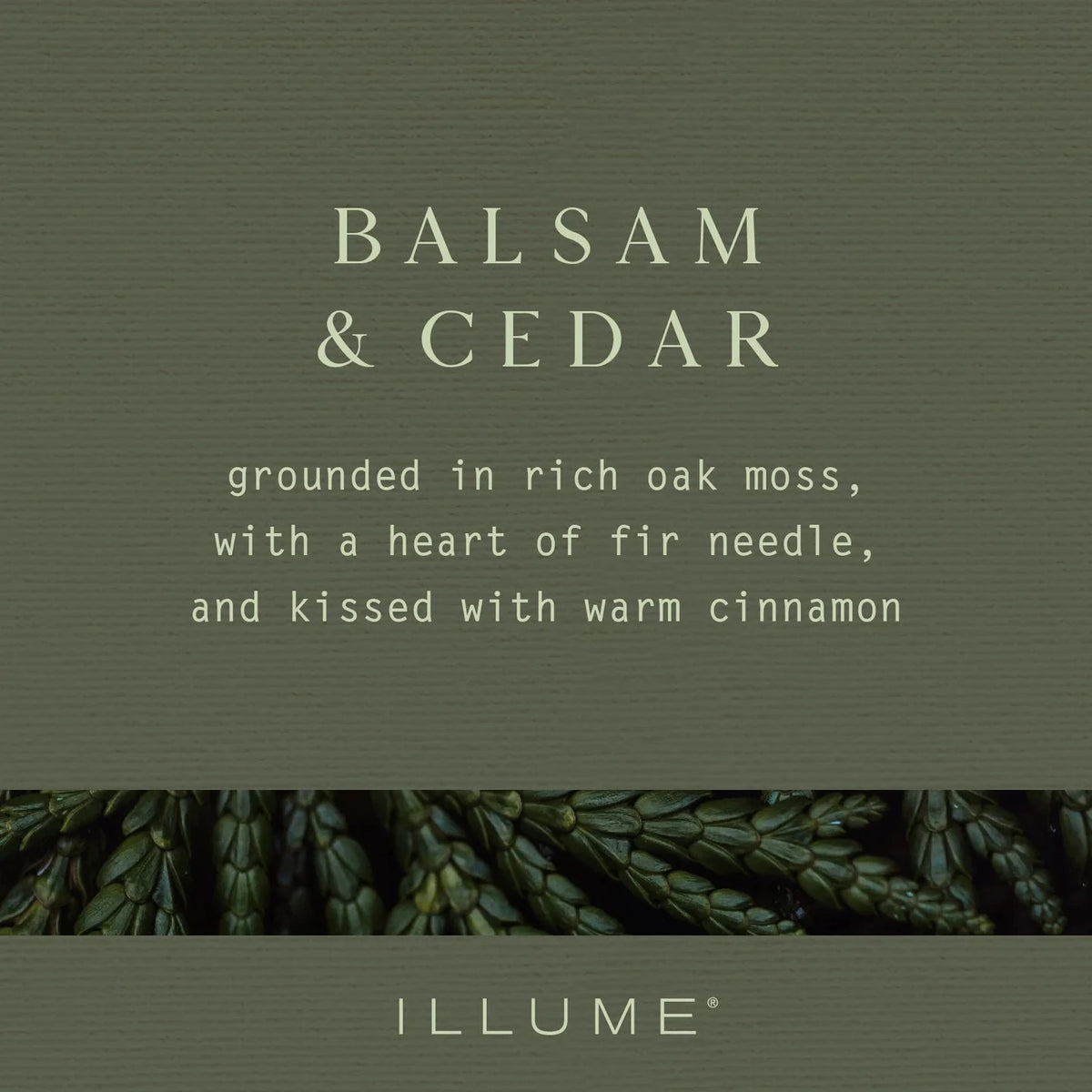 Balsam and Cedar Frosted Star Glass Candle Candles & Home Fragrance 
