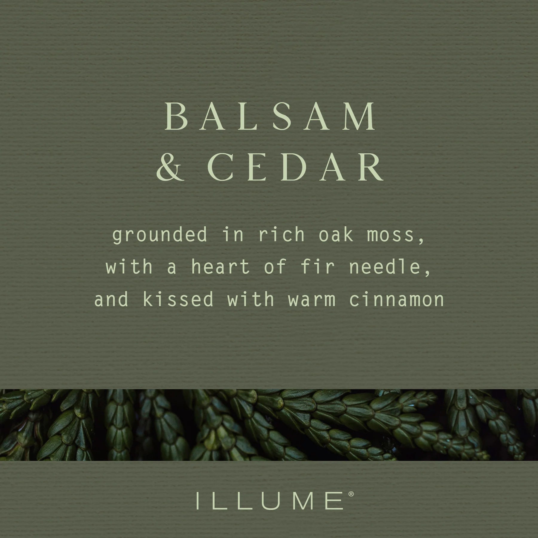 Balsam & Cedar Tiny Tinsel Candle - 4.2 oz Candles & Home Fragrance 