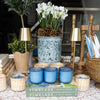Beach Wood- Blue Glass Candle 8oz Candles & Home Fragrance 