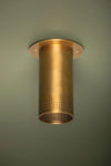 Berg Flush Mount Flush Mount 