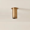 Berg Flush Mount Flush Mount 