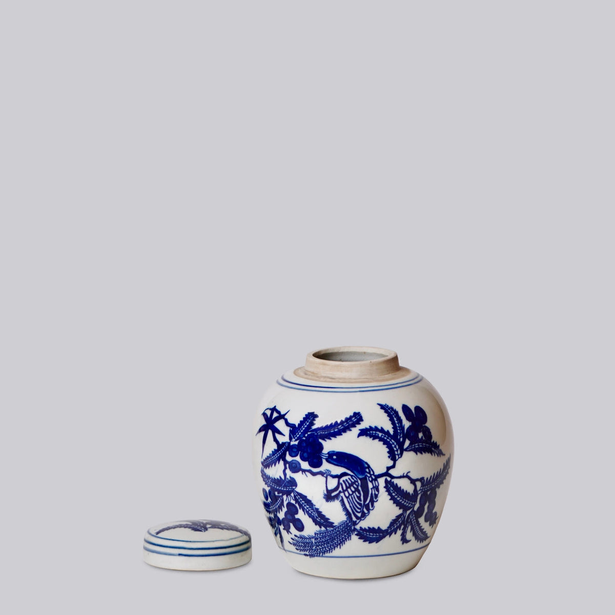 Bird and Flower Ginger Jar Vases, Planters & Jars 