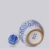 Blue and White Porcelain Scrolling Peony Round Jar Vases & Planters 