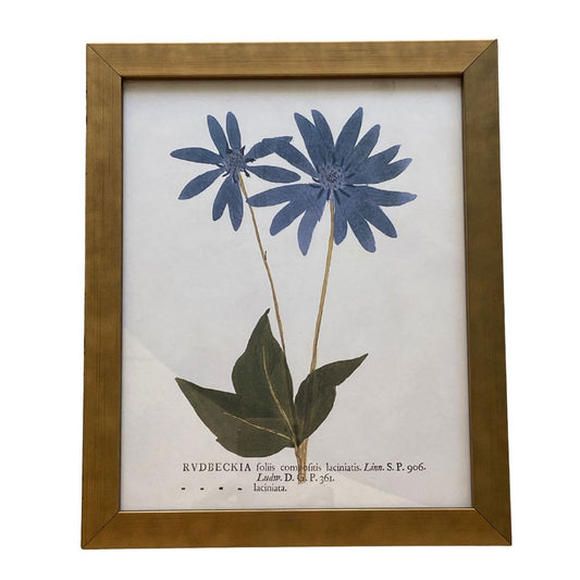 Blue Flower Art On Distressed Background Vintage Print Framed Art 