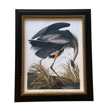 Blue Heron Bookplate Print Framed Art 