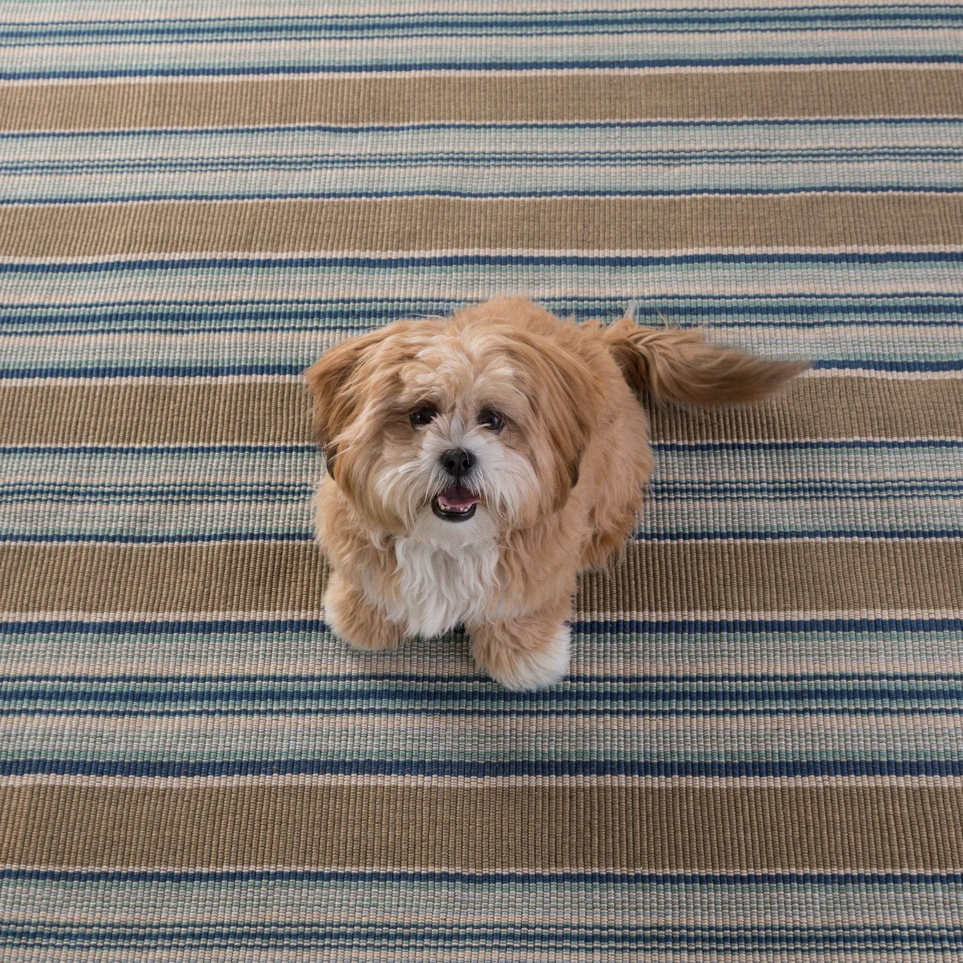Blue Heron Stripe Handwoven Indoor/Outdoor Rug Rugs 