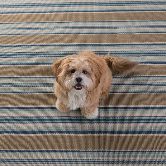 Blue Heron Stripe Handwoven Indoor/Outdoor Rug Rugs 