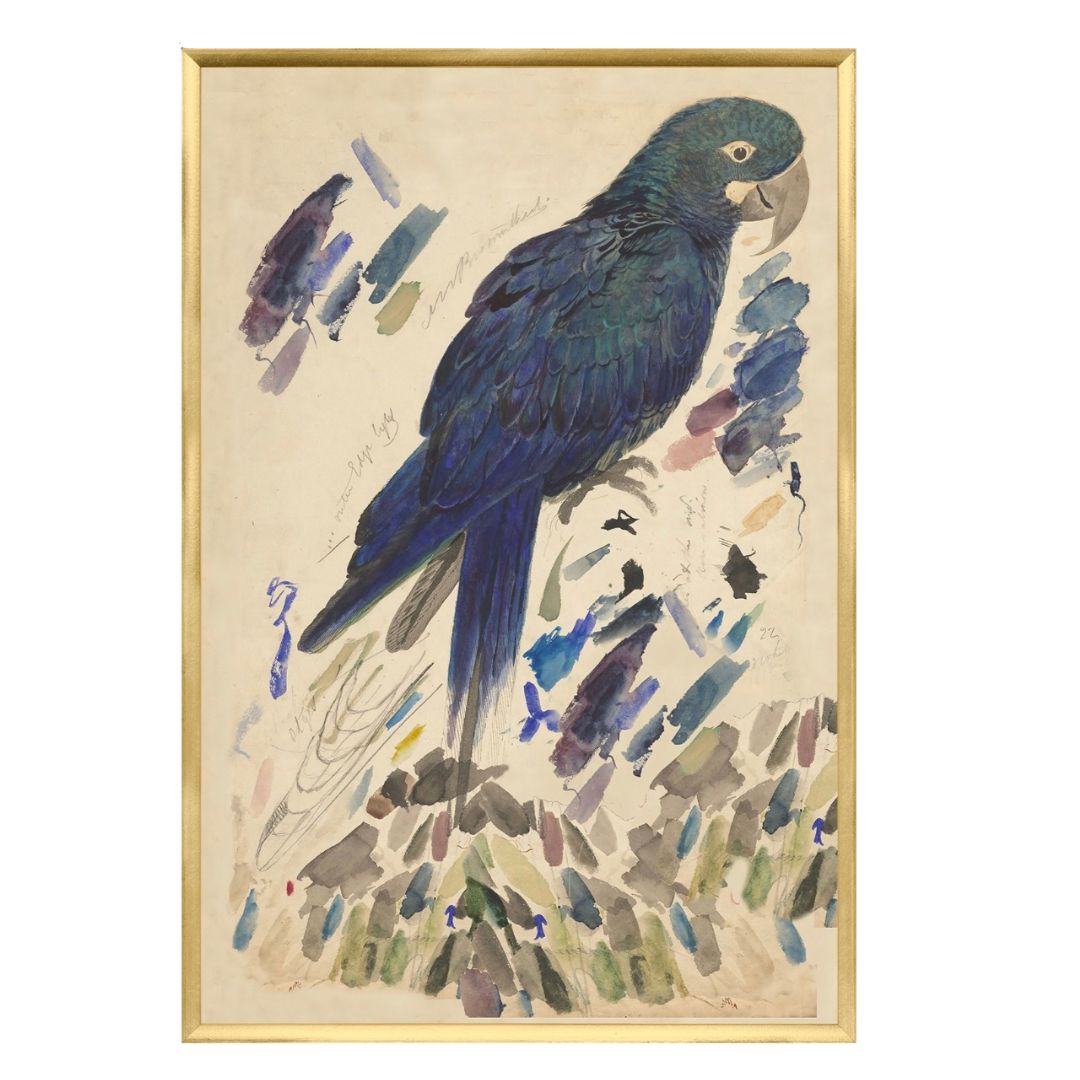 Blue Parrot - Large Framed Art 